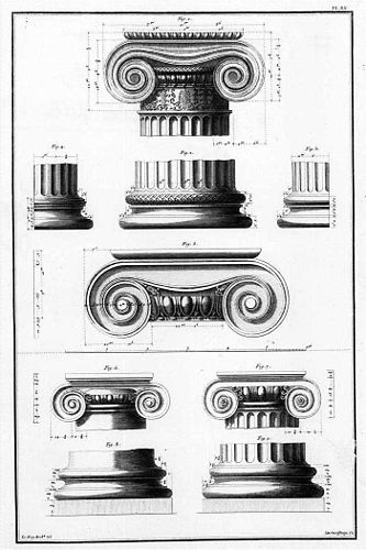 volute