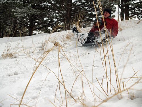 Your Key To Success: sled